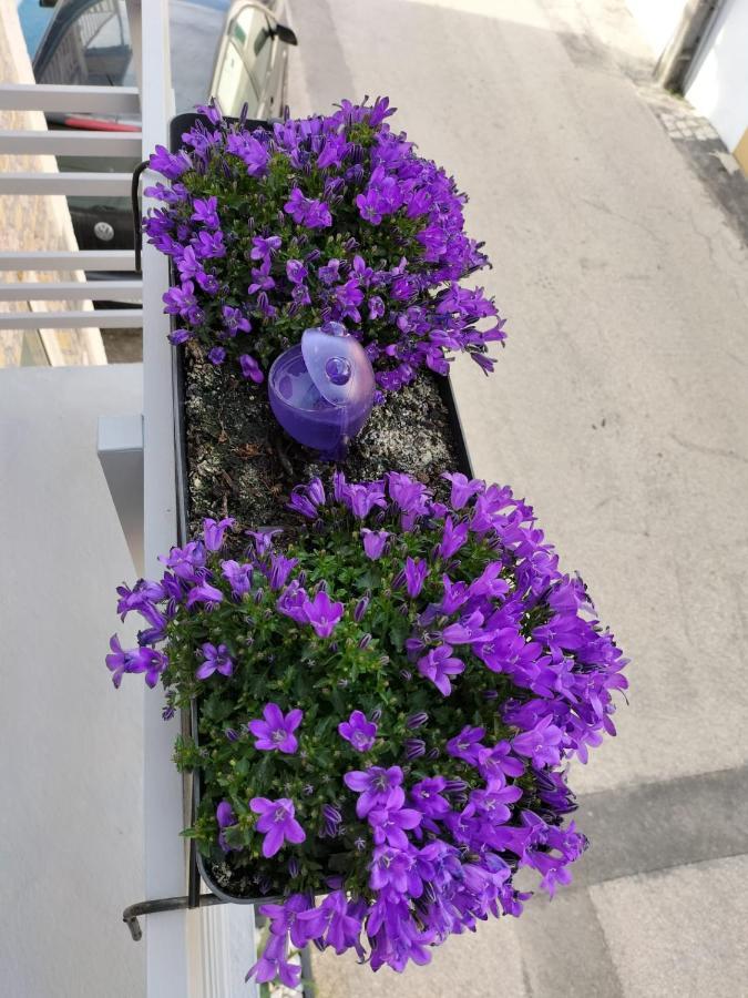 The Violet House Villa Costa Nova Eksteriør billede